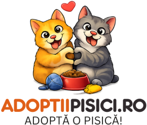 Platformă online de adopție pentru pisicile fără stăpân