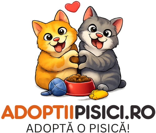 Platformă online de adopție pentru pisicile fără stăpân